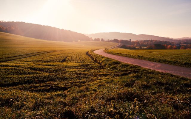 Strade vicinali: chi è responsabile in caso di danni a cose o persone?